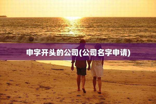 申字开头的公司(公司名字申请)
