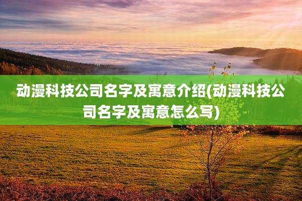 动漫科技公司名字及寓意介绍(动漫科技公司名字及寓意怎么写)