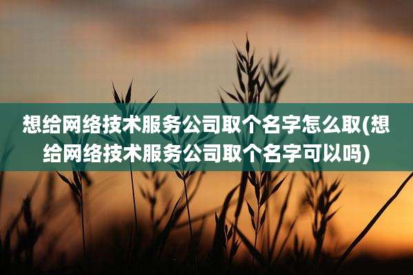 想给网络技术服务公司取个名字怎么取(想给网络技术服务公司取个名字可以吗)