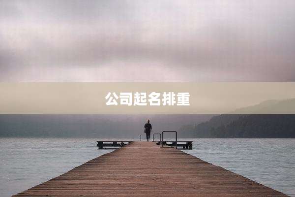 公司起名排重