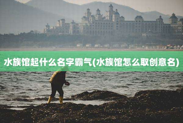 水族馆起什么名字霸气(水族馆怎么取创意名)