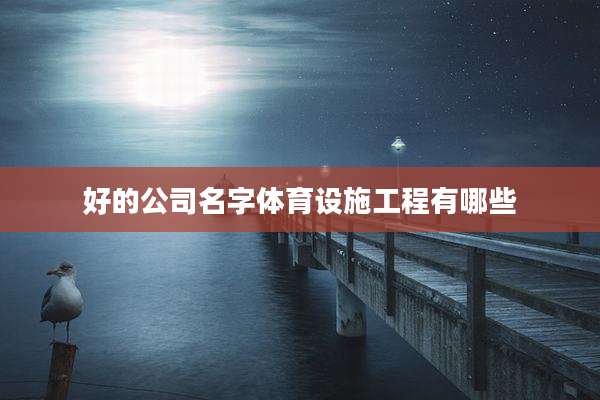 好的公司名字体育设施工程有哪些