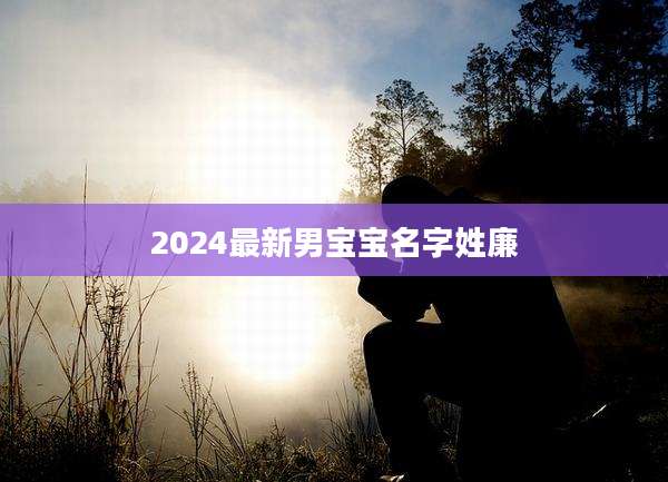 2024最新男宝宝名字姓廉