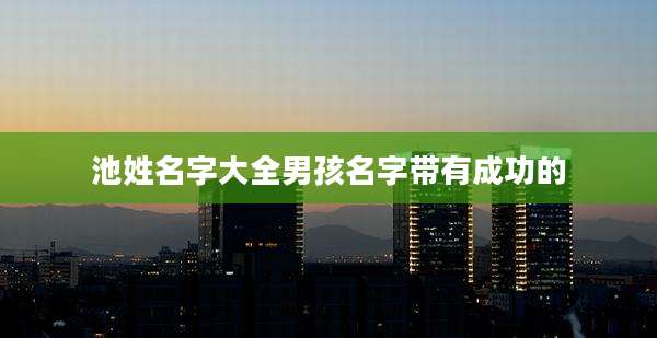池姓名字大全男孩名字带有成功的