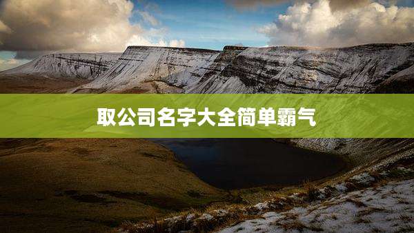 取公司名字大全简单霸气