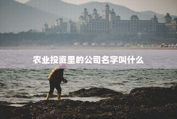 农业投资里的公司名字叫什么