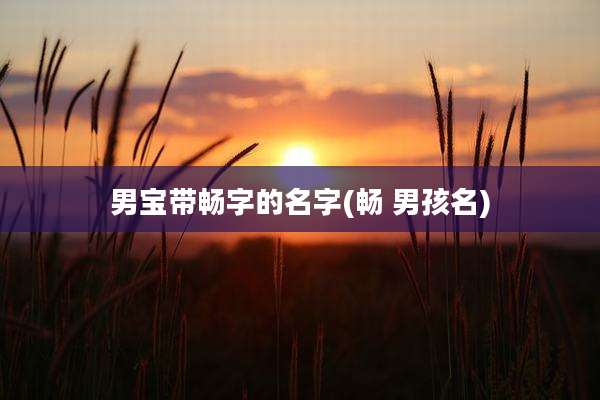 男宝带畅字的名字(畅 男孩名)