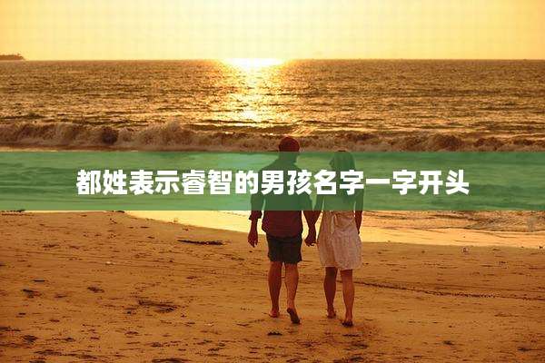都姓表示睿智的男孩名字一字开头