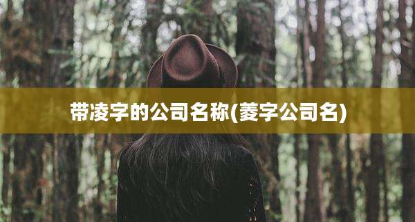 带凌字的公司名称(菱字公司名)
