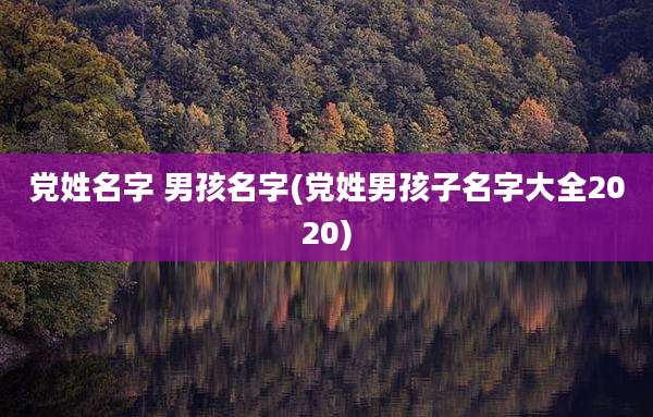 党姓名字 男孩名字(党姓男孩子名字大全2020)