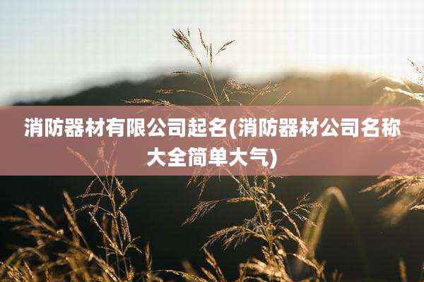 消防器材有限公司起名(消防器材公司名称大全简单大气)