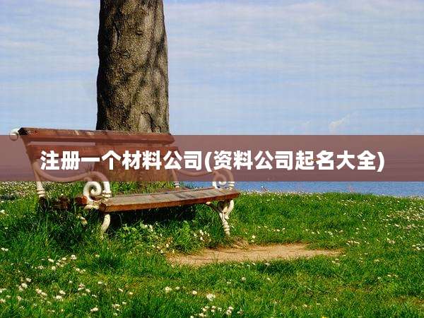 注册一个材料公司(资料公司起名大全)