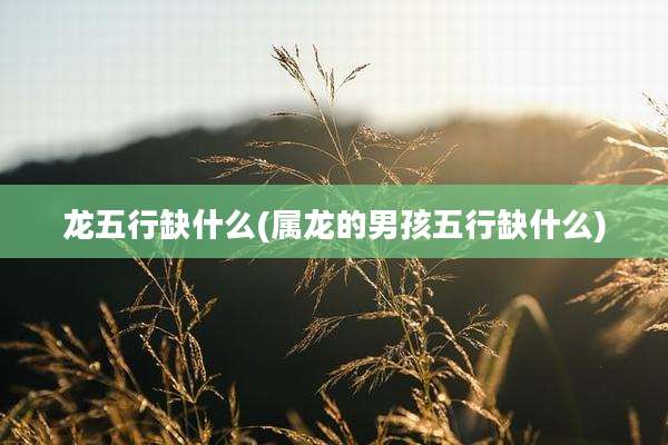 龙五行缺什么(属龙的男孩五行缺什么)