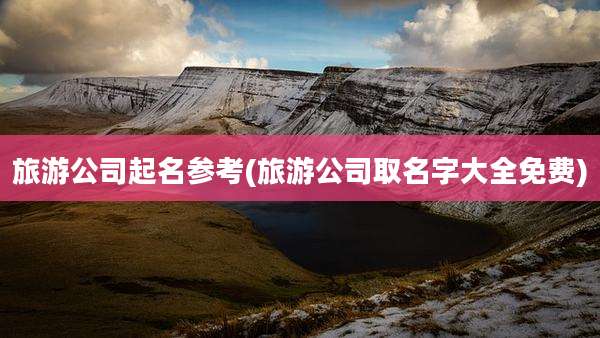 旅游公司起名参考(旅游公司取名字大全免费)
