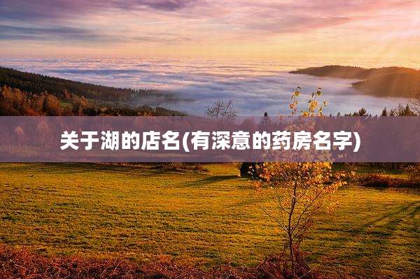 关于湖的店名(有深意的药房名字)