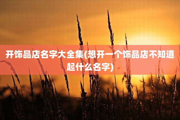 开饰品店名字大全集(想开一个饰品店不知道起什么名字)