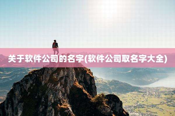关于软件公司的名字(软件公司取名字大全)