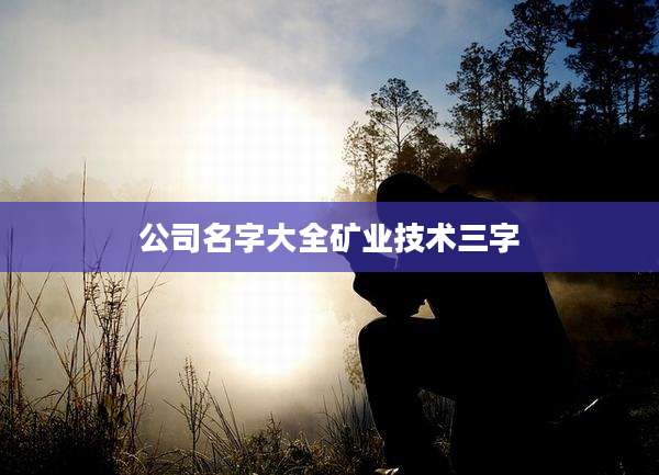 公司名字大全矿业技术三字