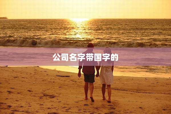 公司名字带国字的