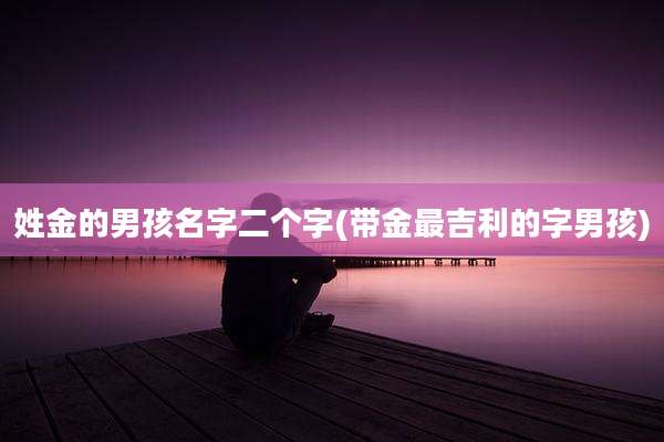 姓金的男孩名字二个字(带金最吉利的字男孩)