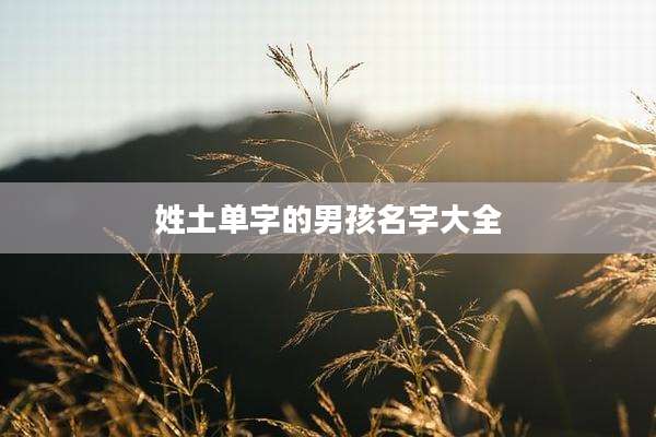 姓土单字的男孩名字大全