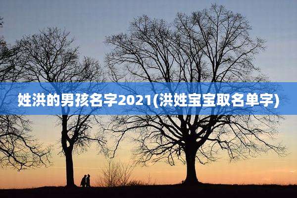 姓洪的男孩名字2021(洪姓宝宝取名单字)