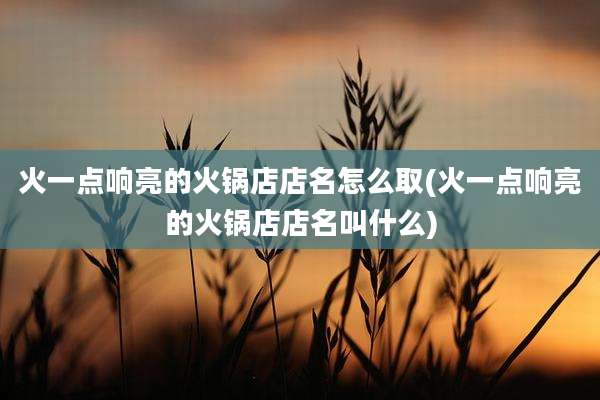 火一点响亮的火锅店店名怎么取(火一点响亮的火锅店店名叫什么)