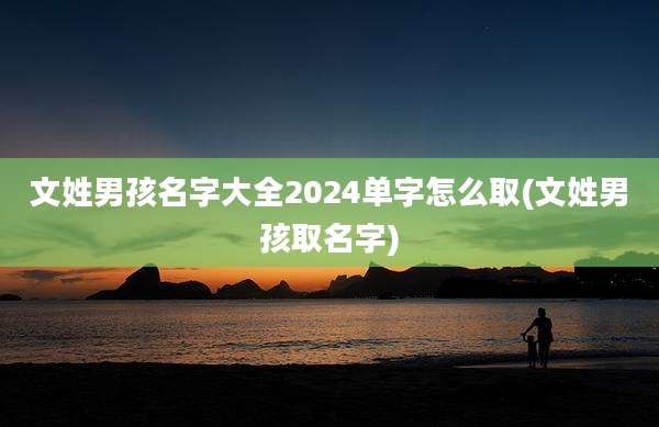 文姓男孩名字大全2024单字怎么取(文姓男孩取名字)