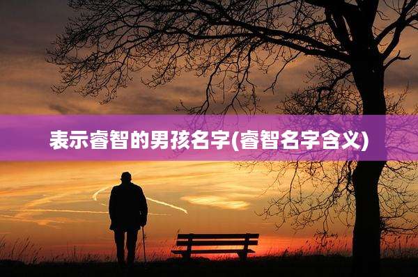 表示睿智的男孩名字(睿智名字含义)
