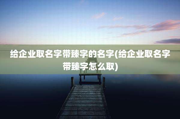 给企业取名字带臻字的名字(给企业取名字带臻字怎么取)