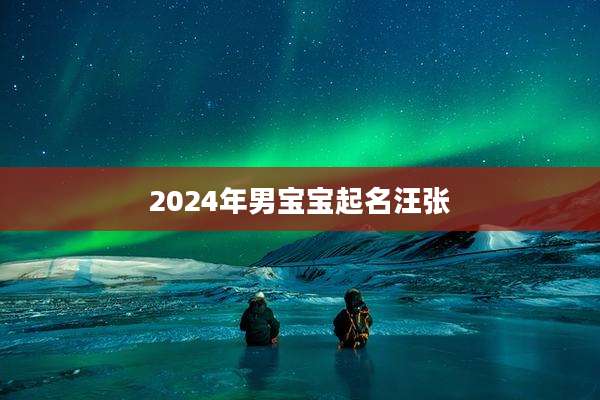 2024年男宝宝起名汪张