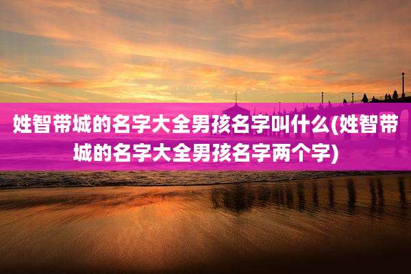 姓智带城的名字大全男孩名字叫什么(姓智带城的名字大全男孩名字两个字)