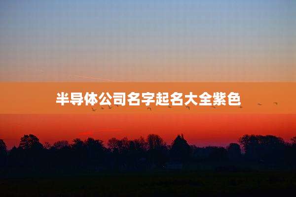 半导体公司名字起名大全紫色