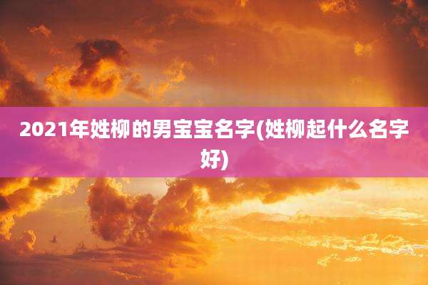 2021年姓柳的男宝宝名字(姓柳起什么名字好)