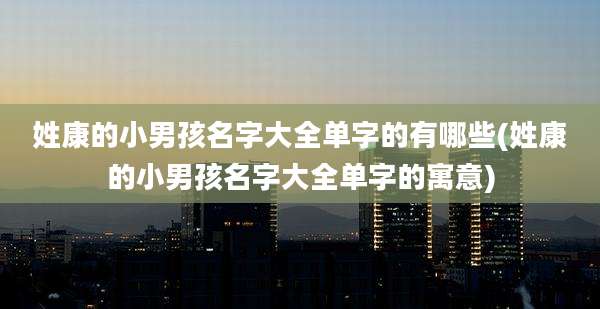 姓康的小男孩名字大全单字的有哪些(姓康的小男孩名字大全单字的寓意)