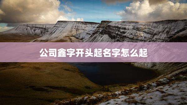 公司鑫字开头起名字怎么起