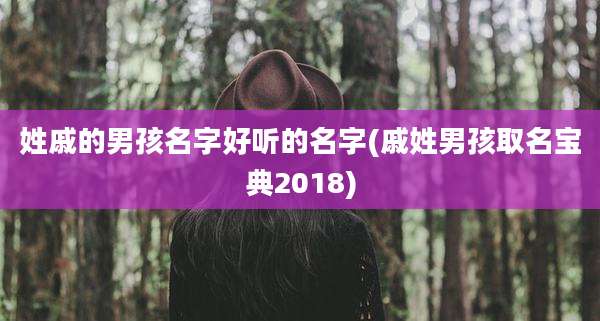 姓戚的男孩名字好听的名字(戚姓男孩取名宝典2018)
