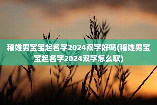 稽姓男宝宝起名字2024双字好吗(稽姓男宝宝起名字2024双字怎么取)