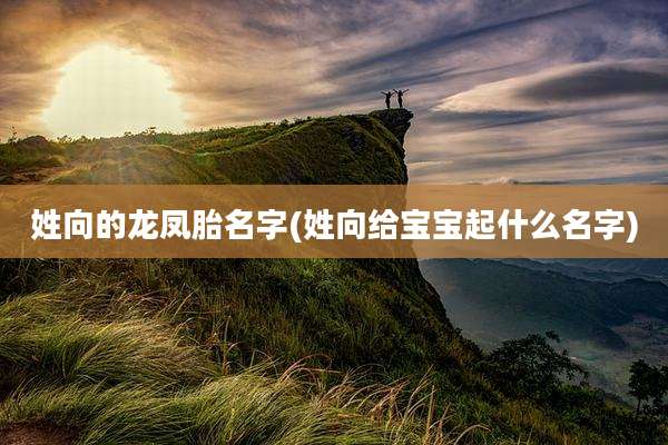 姓向的龙凤胎名字(姓向给宝宝起什么名字)