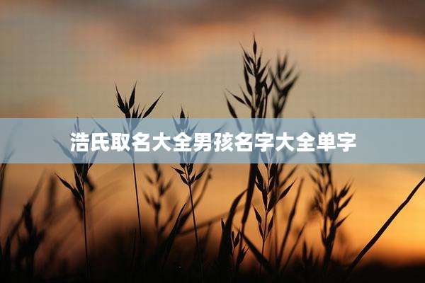 浩氏取名大全男孩名字大全单字