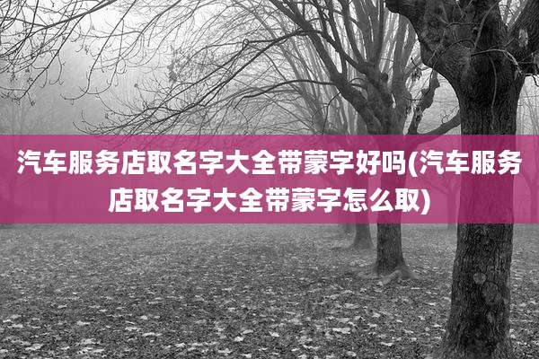汽车服务店取名字大全带蒙字好吗(汽车服务店取名字大全带蒙字怎么取)