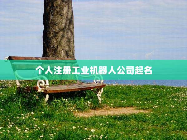 个人注册工业机器人公司起名