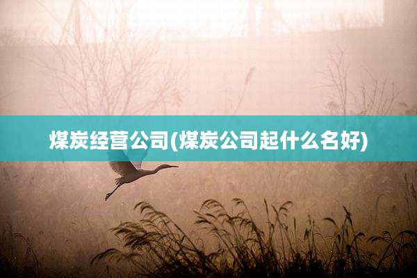 煤炭经营公司(煤炭公司起什么名好)
