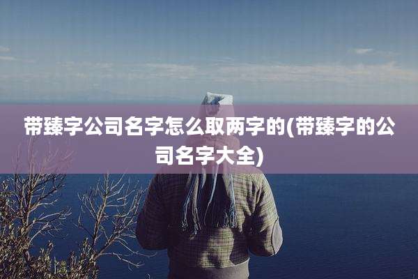 带臻字公司名字怎么取两字的(带臻字的公司名字大全)
