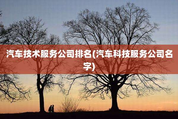 汽车技术服务公司排名(汽车科技服务公司名字)