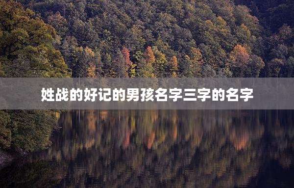姓战的好记的男孩名字三字的名字