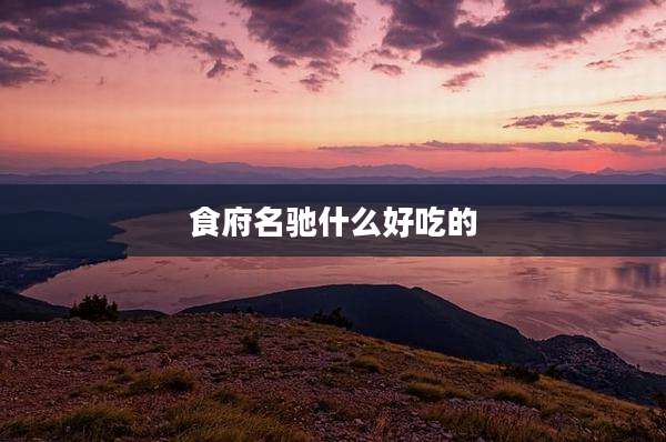 食府名驰什么好吃的