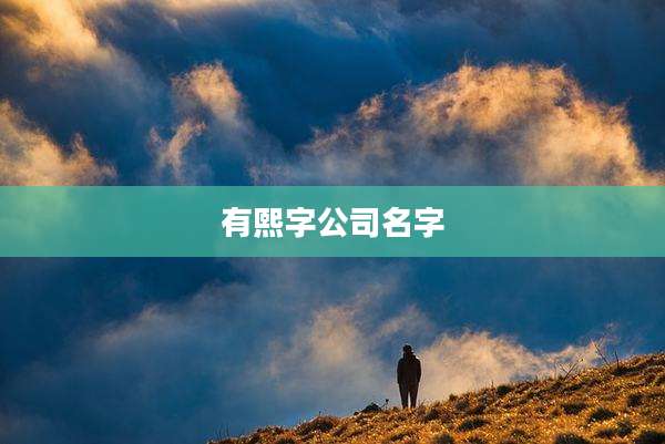 有熙字公司名字