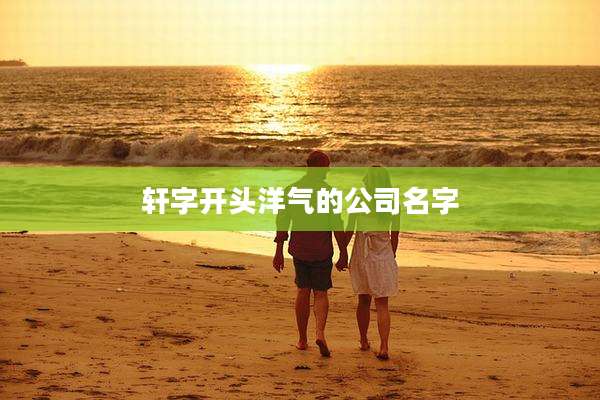 轩字开头洋气的公司名字