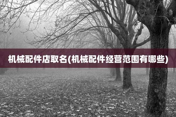 机械配件店取名(机械配件经营范围有哪些)